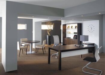 Quelle décoration pour un bureau professionnel ?
