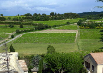 Quelle différence entre côté du Rhone et côté du Rhone Village ?
