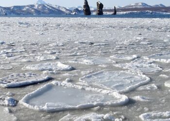 Quelle différence entre un miroir et une glace ?