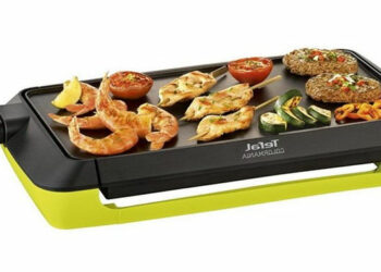 Quelle différence entre une plancha et un barbecue électrique ?