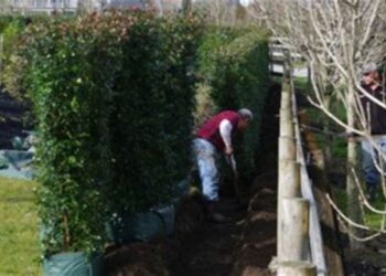 Quelle distance des maisons Peut-on mettre des ruches ?