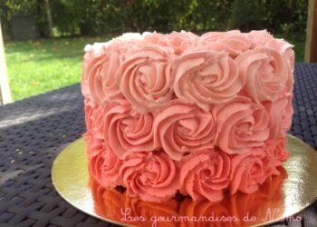 Quelle douille pour faire des roses ?