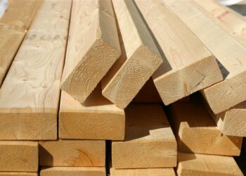 Quelle essence de bois pour le fumage ?