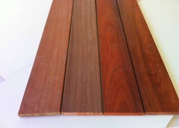 Quelle essence de bois pour quelle utilisation ?