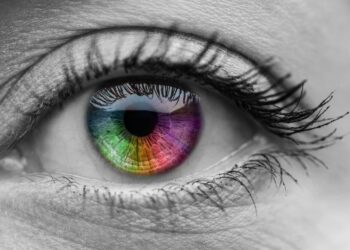 Quelle est la couleur des yeux la plus belle ?