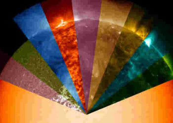 Quelle est la couleur du teck ?