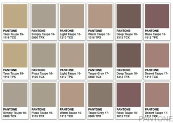 Quelle est la couleur taupe ?