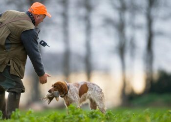 Quelle est la date de l'ouverture de la chasse 2021 2022 ?