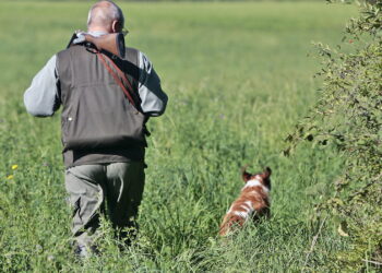 Quelle est la date de l'ouverture de la chasse ?