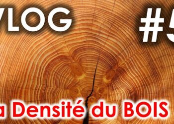 Quelle est la densité du bois ?