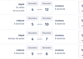 Quelle est la différence entre Chronopost et Colissimo ?