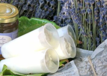 Quelle est la différence entre le brocciu et la brousse ?