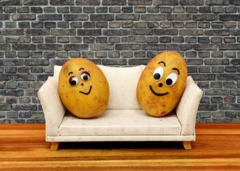 Quelle est la durée de vie moyenne d'un canapé ?