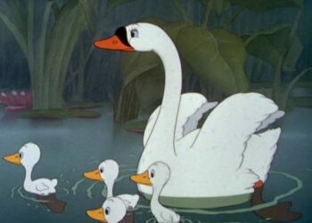 Quelle est la famille du canard ?