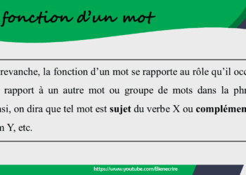 Quelle est la fonction de la domus ?