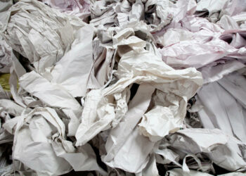 Quelle est la matière première du papier ?