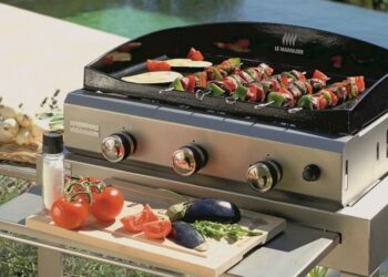 Quelle est la meilleur marque de plancha ?