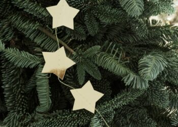 Quelle est la meilleure date pour faire le sapin ?