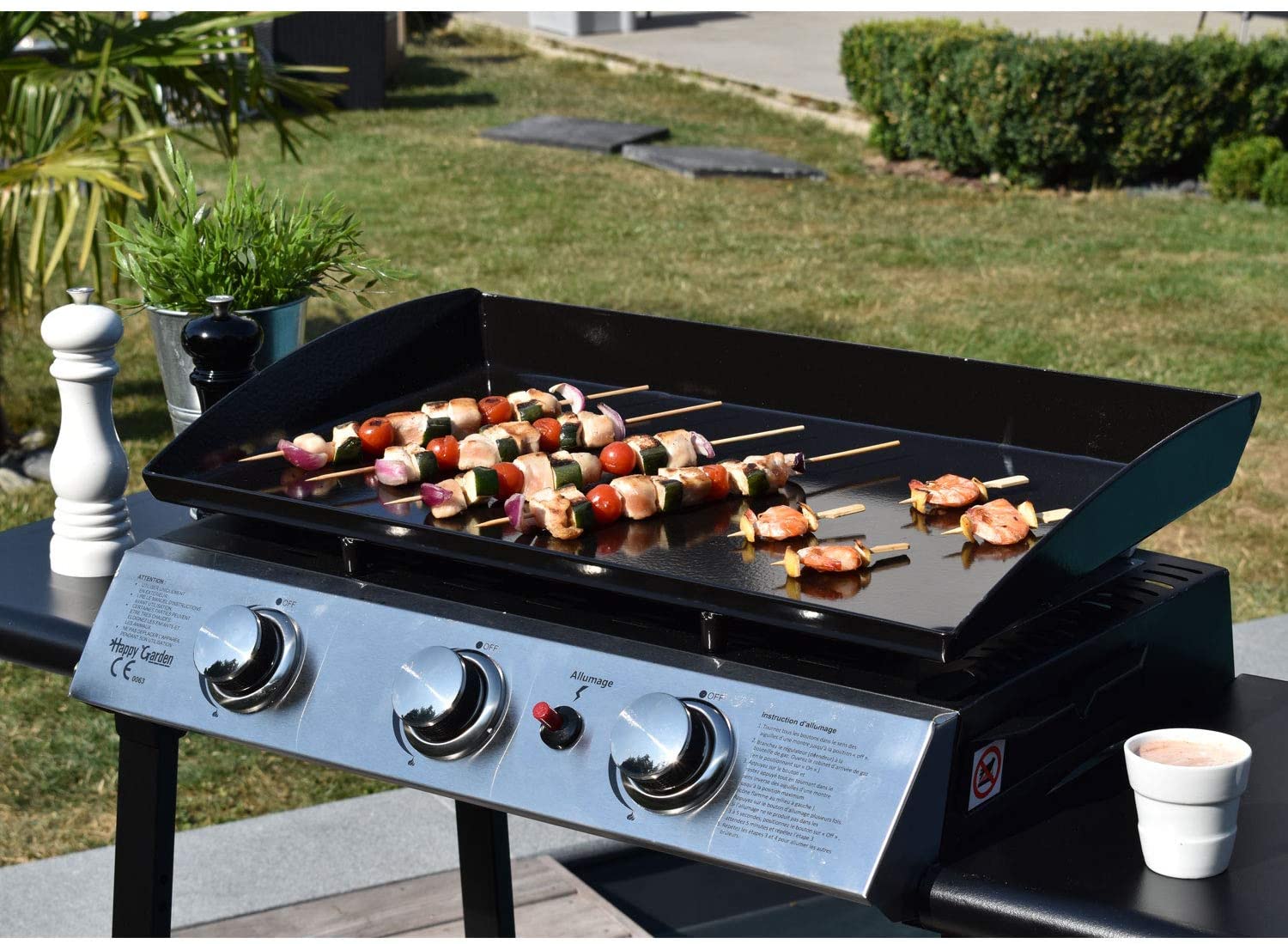 Quelle est la meilleure marque de barbecue à gaz — free download