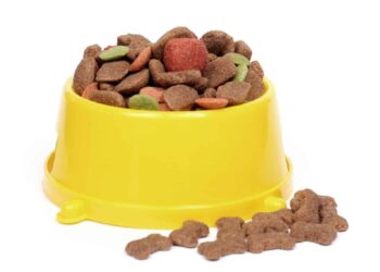 Quelle est la meilleure marque de pâtée pour chien ?