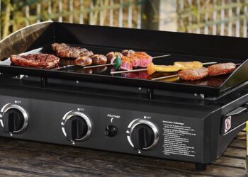 Quelle est la meilleure marque de plancha ?