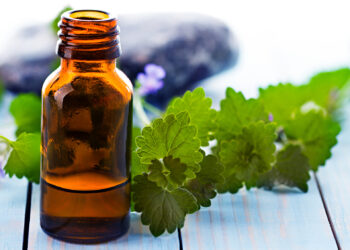 Quelle est la meilleure marque pour les huiles essentielles ?