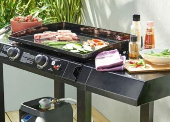 Quelle est la meilleure matière pour une plancha ?