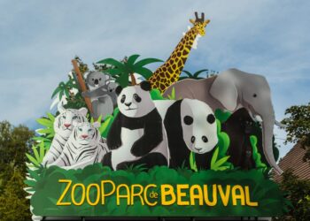 Quelle est la meilleure période pour visiter le zoo de Beauval ?