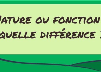 Quelle est la nature du mot assurer ?
