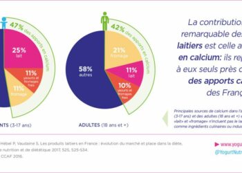 Quelle est la population d'adulte en France ?