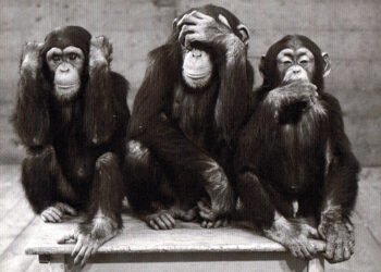 Quelle est la signification des 3 singes ?