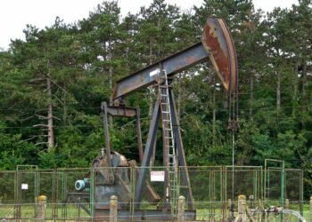 Quelle est la source du pétrole ?