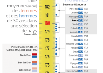 Quelle est la taille moyenne d'un dressing ?
