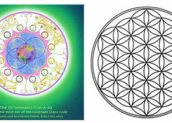 Quelle est la vraie fleur de vie ?