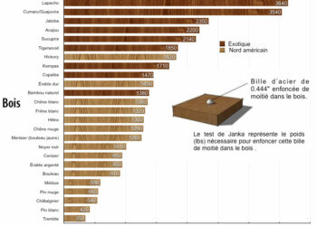 Quelle est le bois le plus dur du monde ?
