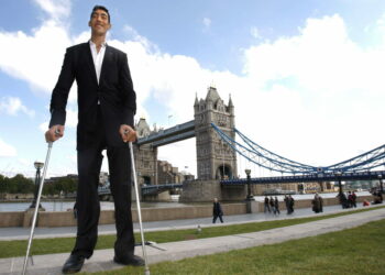 Quelle est le plus grand Ikea du monde ?