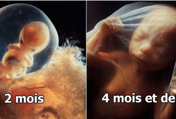 Quelle est l'évolution d'un bébé de 5 mois ?