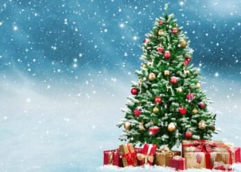 Quelle est l'histoire du sapin de Noël ?