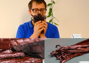 Quelle est l'huile essentielle la plus chère au monde ?