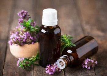 Quelle est l'huile essentielle la plus puissante ?