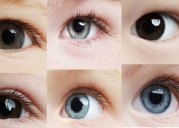Quelle est l'origine des yeux verts ?