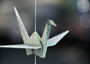 Quelle feuille utilisé pour trouver son amour ?