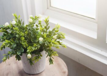 Quelle fleur Envoyer à un homme ?