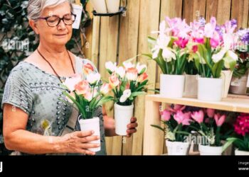 Quelle fleur dans la maison ?