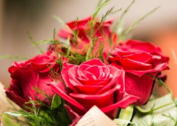 Quelle fleur signifie la douleur ?