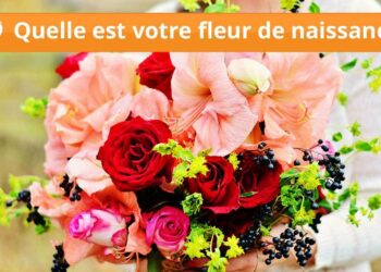 Quelle fleur symbolise ton mois de naissance ?