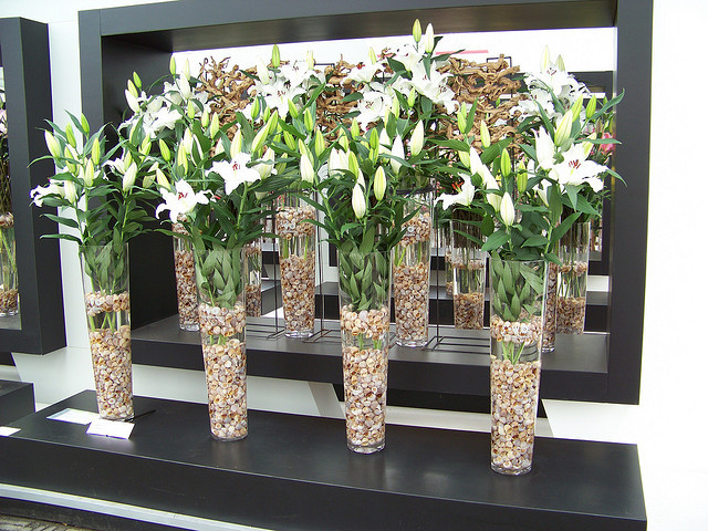 Quelle fleurs mettre dans un grand vase transparent