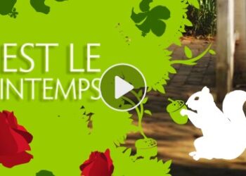 Quelle gigoteuse pour le printemps ?