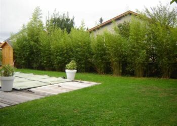 Quelle hauteur pour se cacher des voisins ?