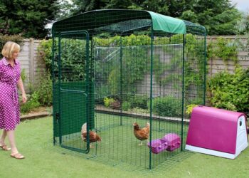 Quelle hauteur pour un grillage à poule ?